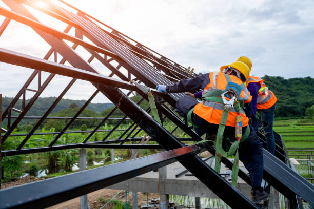 Best Local Roofing Companies  in Hallsville, MO
